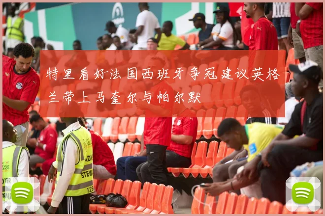特里看好法国西班牙争冠建议英格兰带上马奎尔与帕尔默