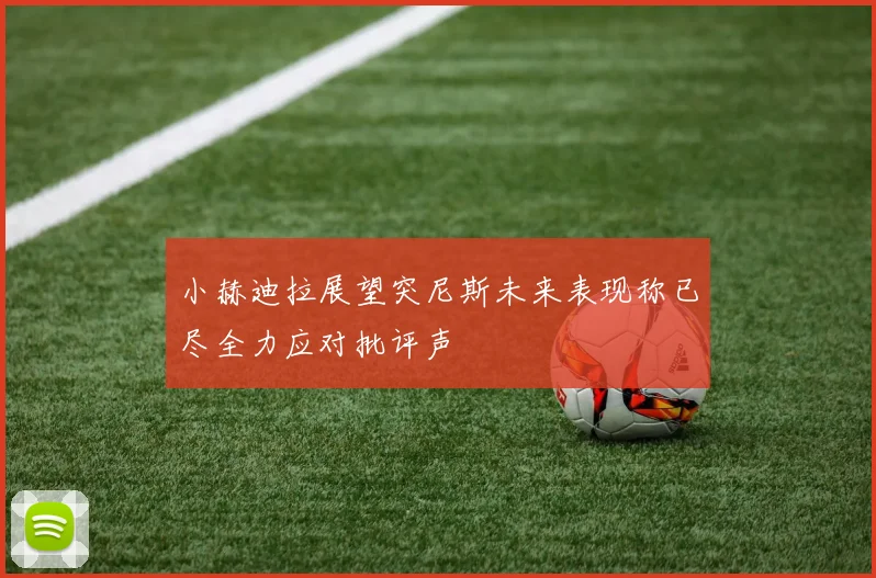 小赫迪拉展望突尼斯未来表现称已尽全力应对批评声